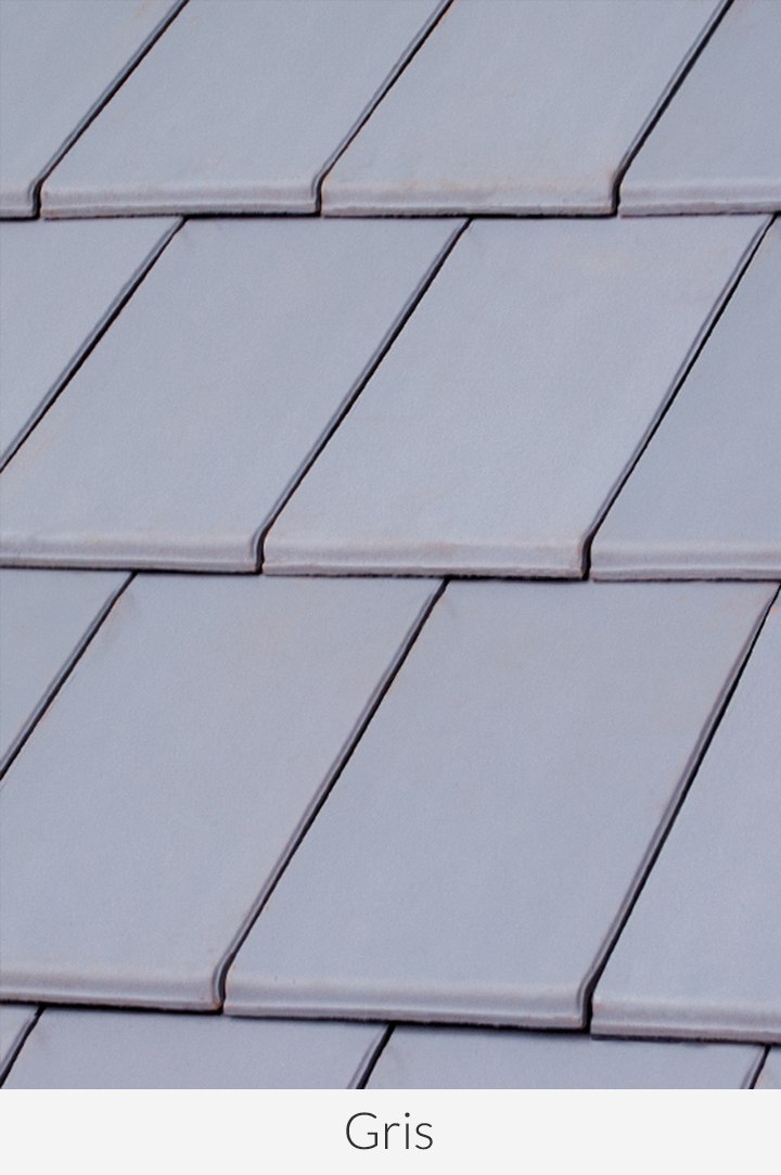 Plana_Montecarlo_Gris